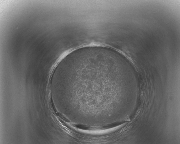 X0000059251367200510211618