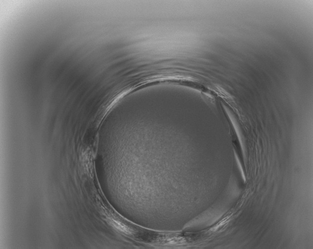 X0000059251369200510211618