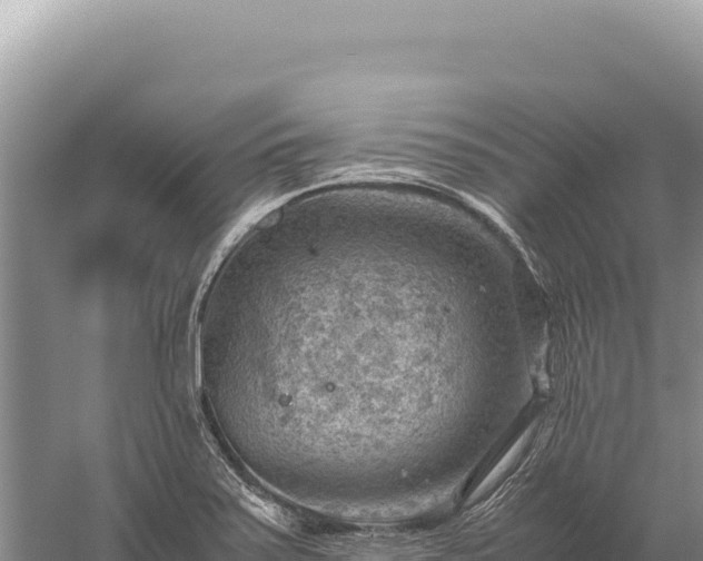 X0000059251371200510211618