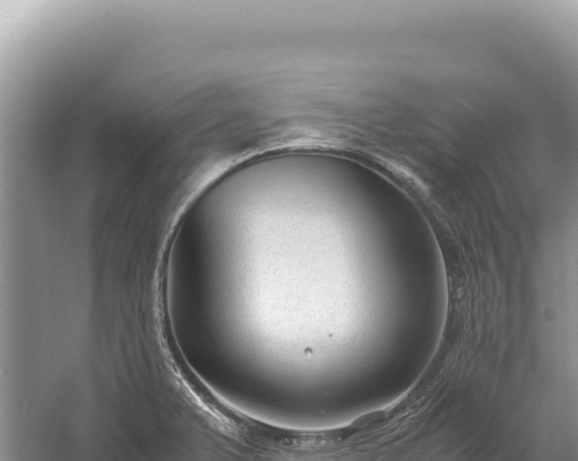 X0000059251375200510211617