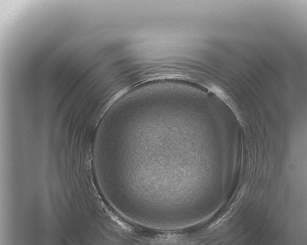 X0000059251377200510211617