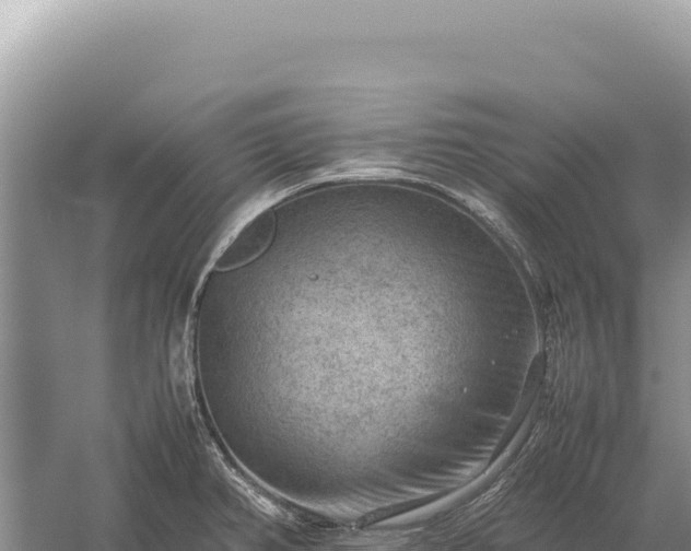 X0000059251382200510211617