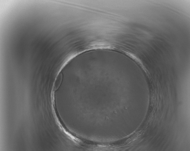 X0000059251383200510211617