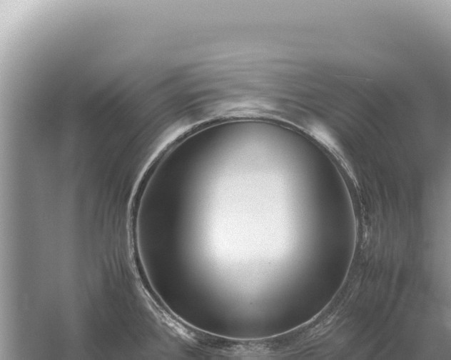 X0000059251384200510211617