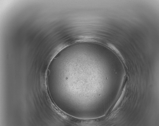 X0000059251386200510211617