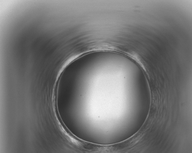 X0000059251387200510211617