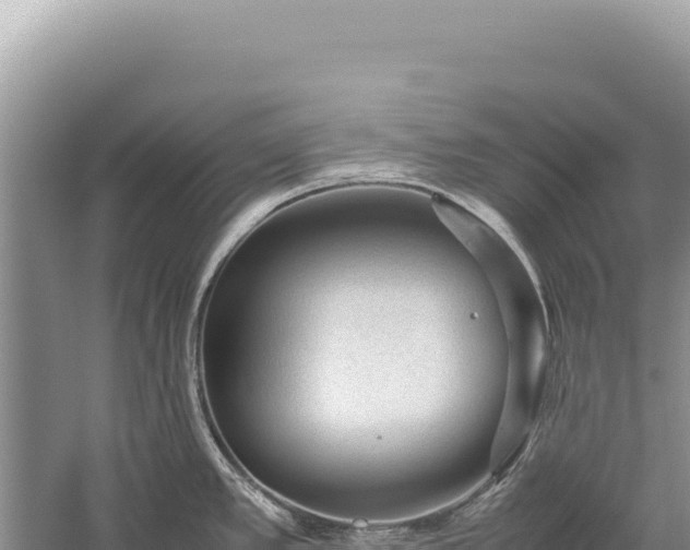 X0000059251389200510211617