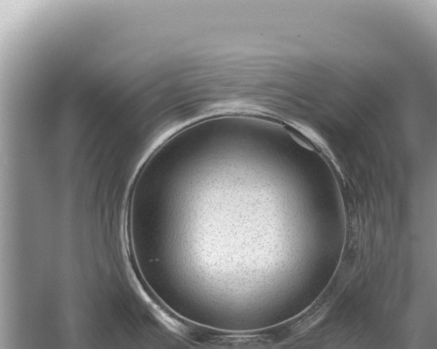 X0000059251391200510211617