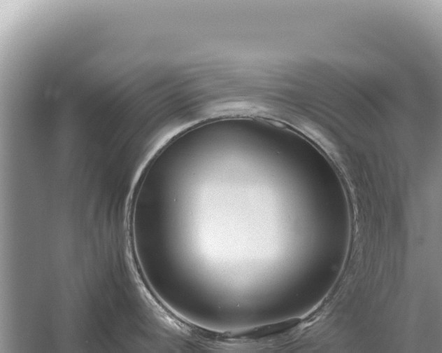 X0000059251392200510211617