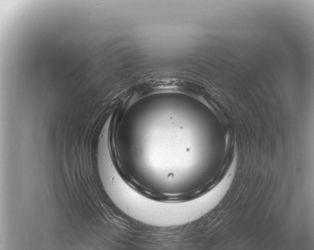 X0000059251394200510211616