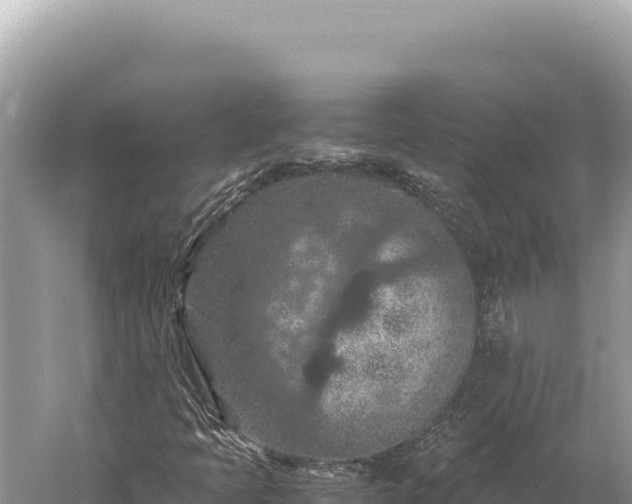 X0000059251397200510211616