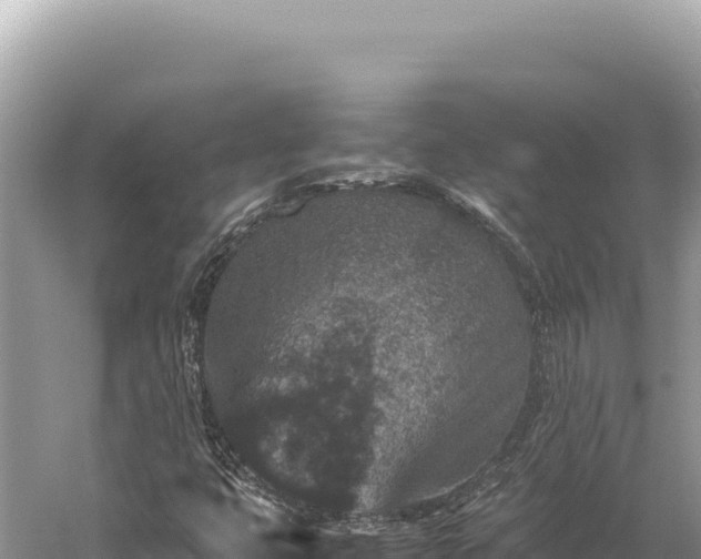 X0000059251399200510211616