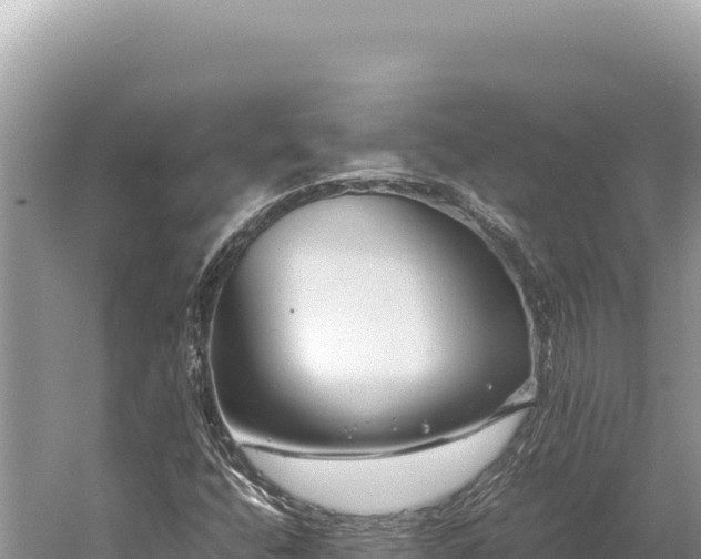 X0000059251400200510211616