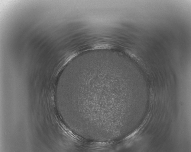 X0000059251401200510211616