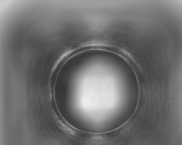 X0000059251408200510211617