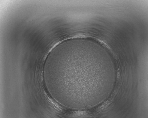 X0000059251409200510211617