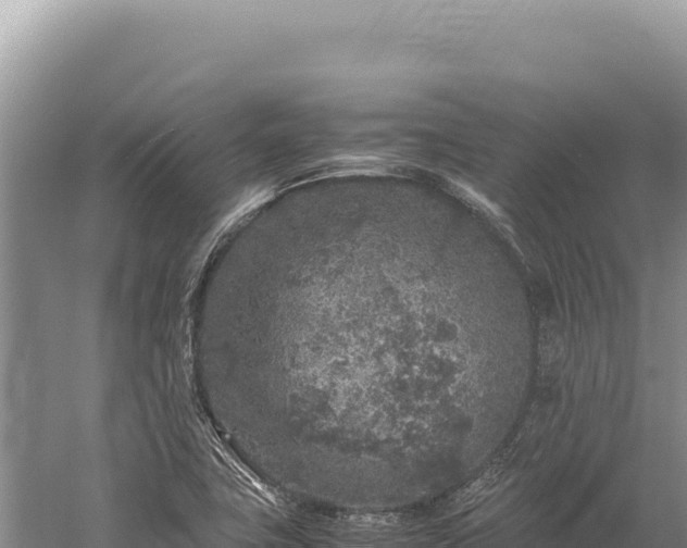 X0000059251411200510211617