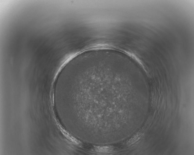 X0000059251413200510211617