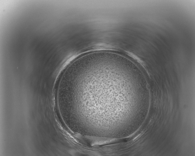 X0000059251415200510211617