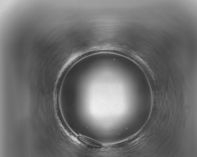 X0000059251416200510211617