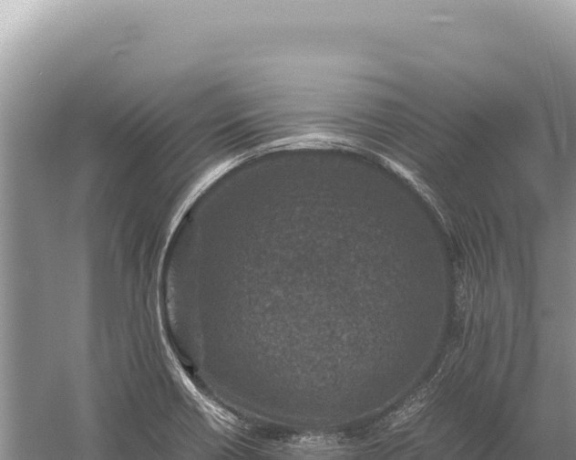 X0000059251418200510211617