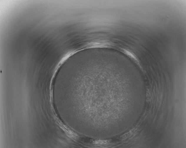 X0000059251419200510211617