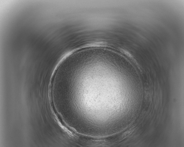 X0000059251421200510211617