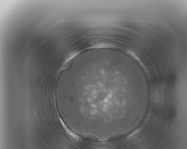 X0000059251425200510211617