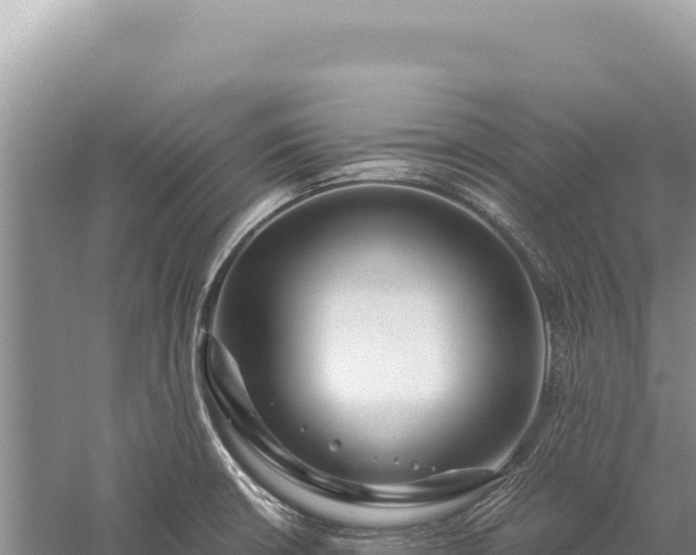 X0000059251426200510211617