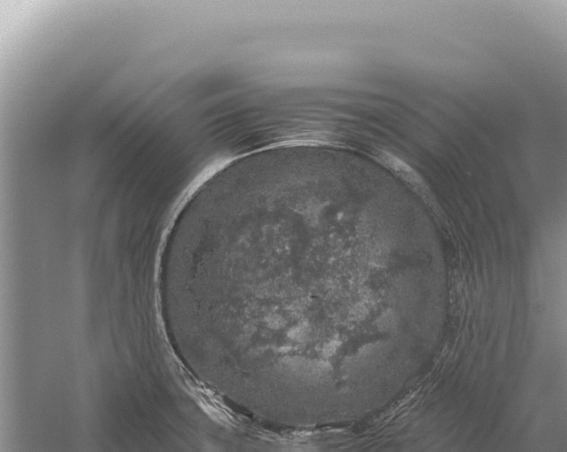 X0000059251427200510211617