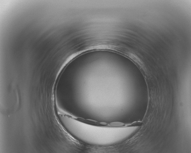 X0000059251428200510211617