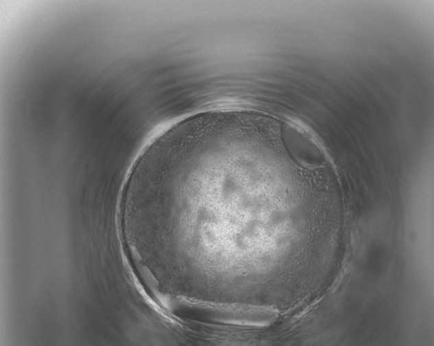 X0000059251429200510211617