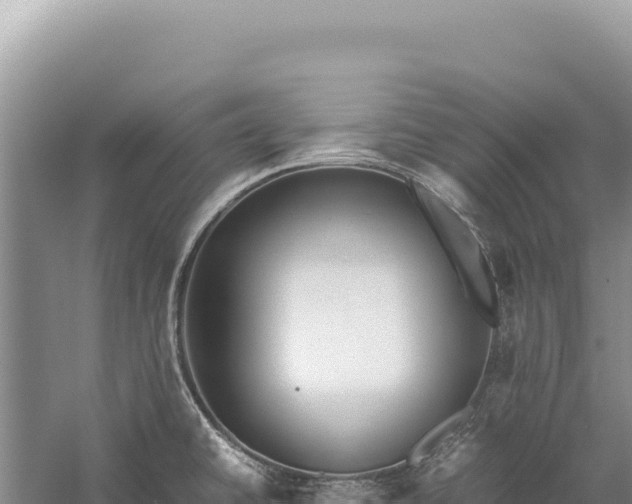 X0000059251430200510211617