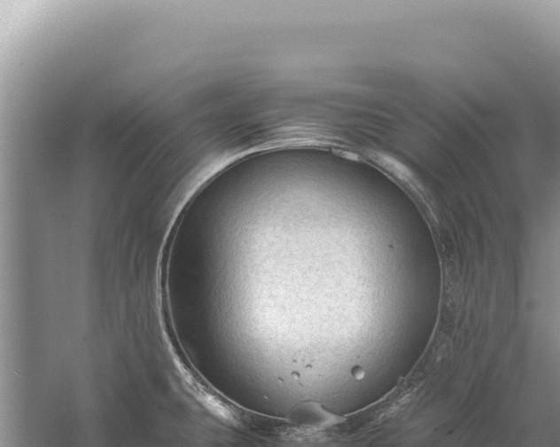 X0000059251431200510211617