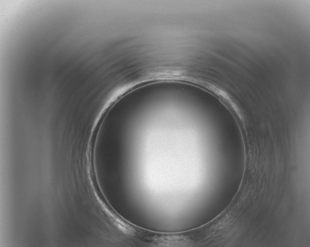 X0000059251432200510211617