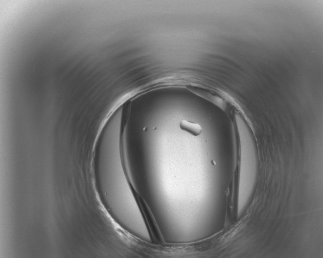 X0000059251434200510211617