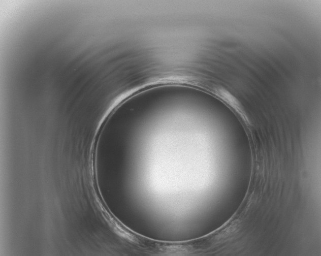 X0000059251436200510211617