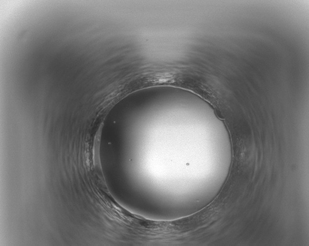 X0000059251442200510211616