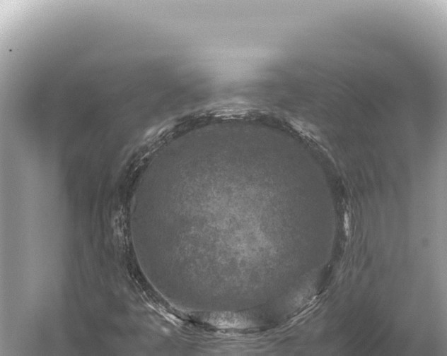 X0000059251445200510211616