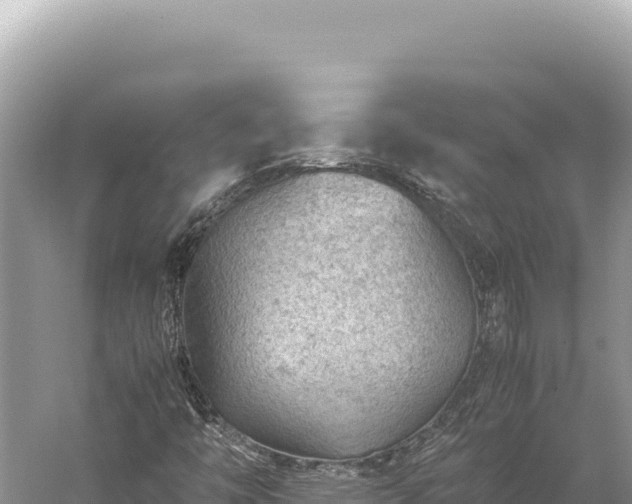 X0000059251446200510211616