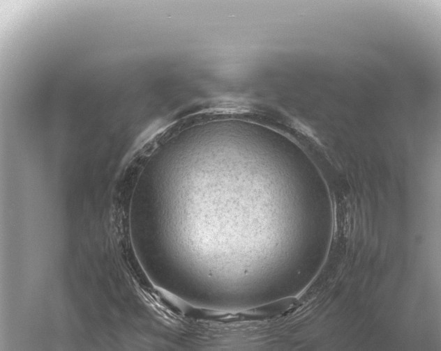 X0000059251448200510211616