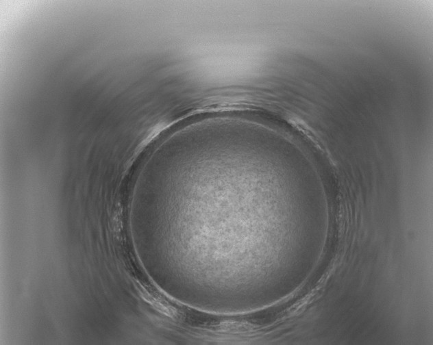 X0000059251449200510211616