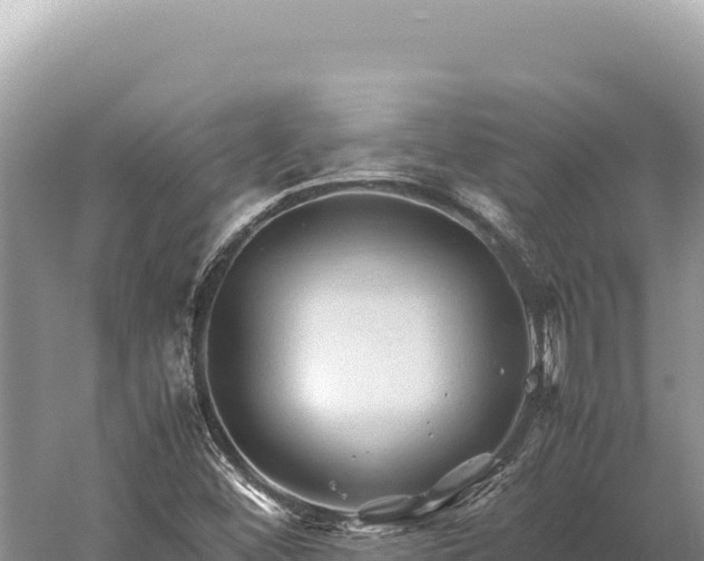 X0000059251452200510211616