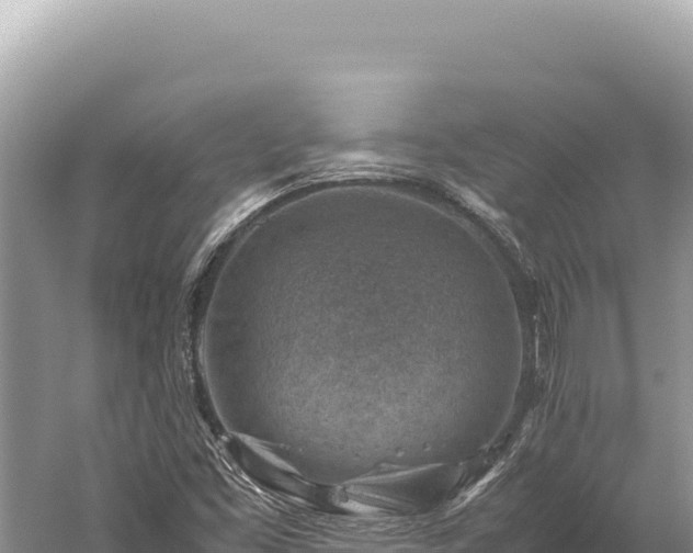 X0000059251453200510211616