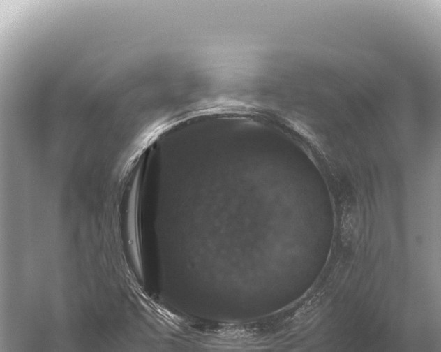 X0000059251455200510211616