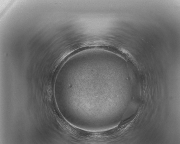 X0000059251457200510211616