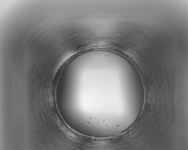 X0000059251458200510211616