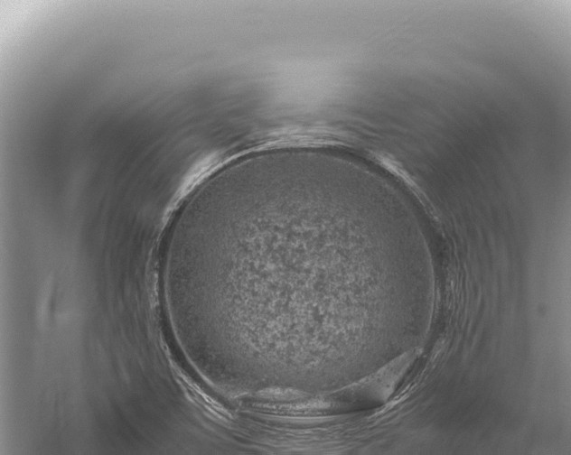 X0000059251459200510211616