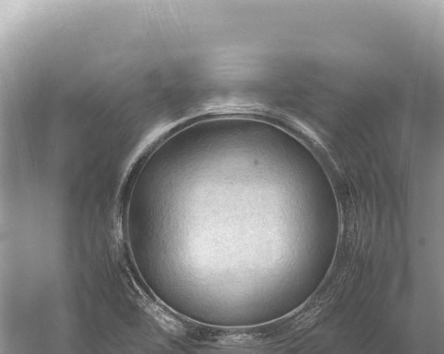 X0000059251462200510211616