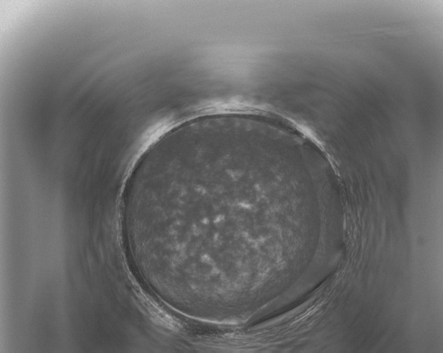 X0000059251463200510211616